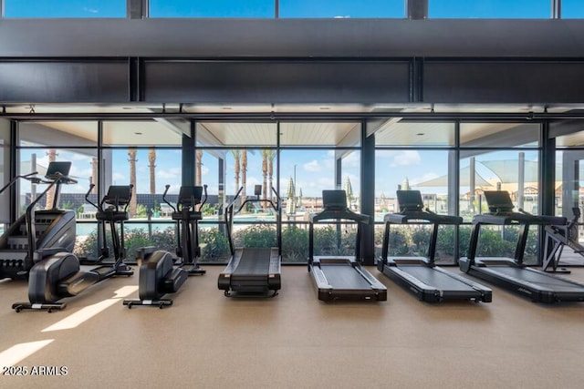 3853 S Buttercup Cir, Mesa, AZ 85212 - gym with a wall of windows and a towering ceiling