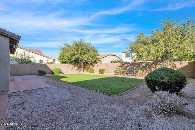 view of yard with a patio area