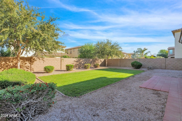 view of yard with a patio