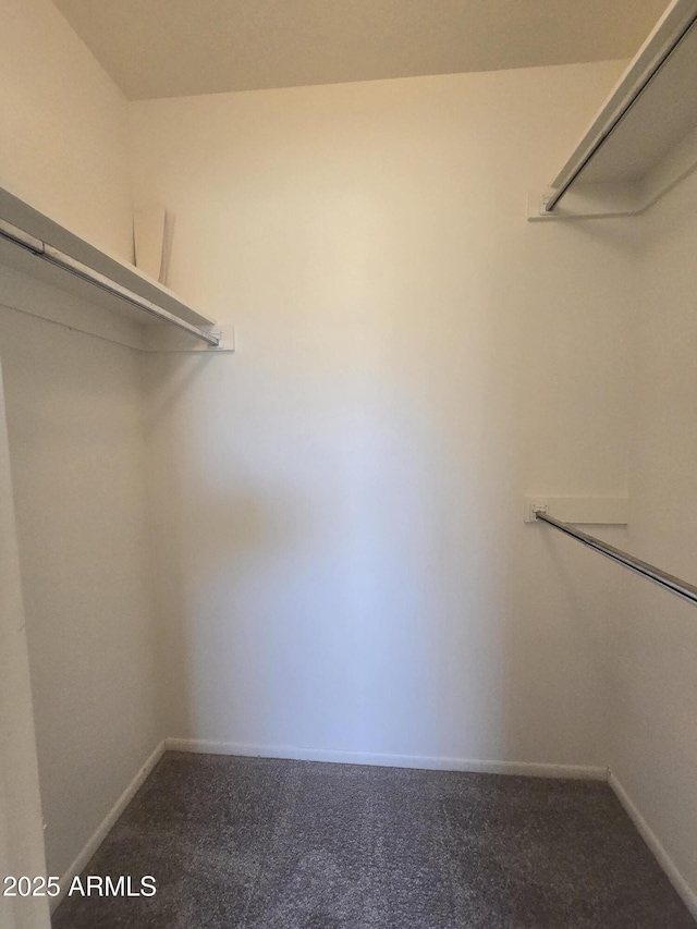 spacious closet with carpet floors