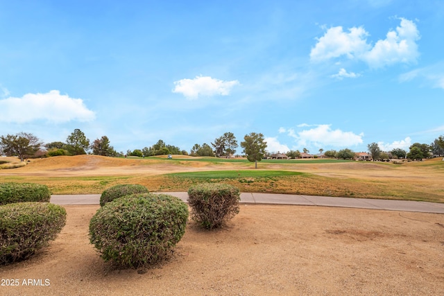 view of community featuring a lawn