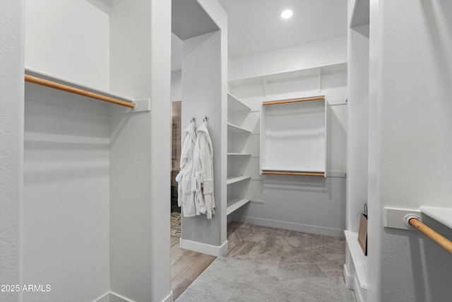 walk in closet with light colored carpet