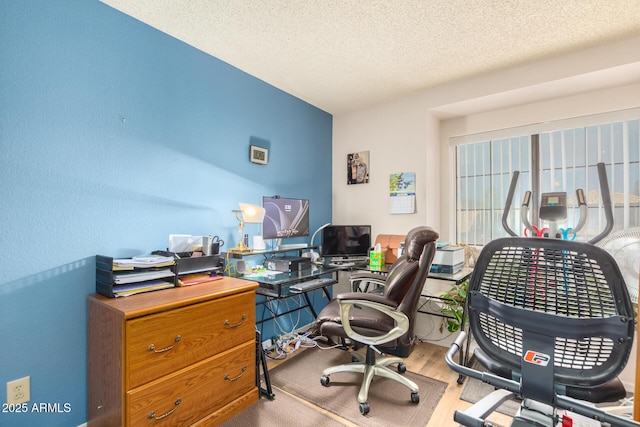 office area featuring a textured ceiling and light wood finished floors