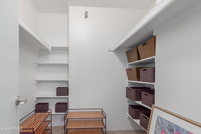 spacious closet featuring carpet flooring