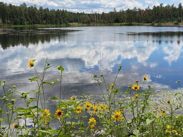 2601 Thunderbolt Cir Unit A14, Pinetop, AZ 85935 - view of water feature featuring a view of trees