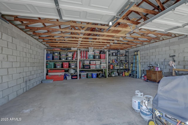 4090 N Cherri Lynn Dr, Pine, AZ 85544 - garage featuring concrete block wall