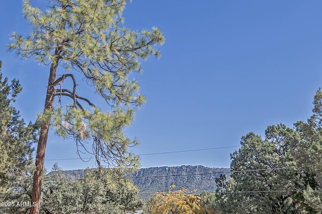 4090 N Cherri Lynn Dr, Pine, AZ 85544 - mountain view