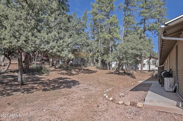 4090 N Cherri Lynn Dr, Pine, AZ 85544 - view of yard