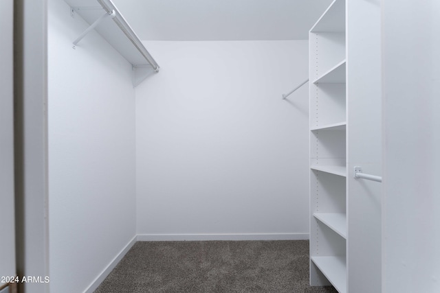 walk in closet featuring dark colored carpet