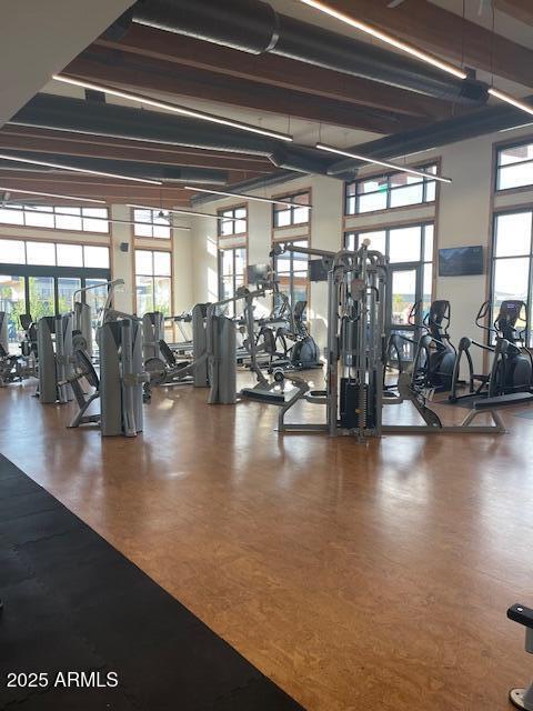 workout area with hardwood / wood-style flooring