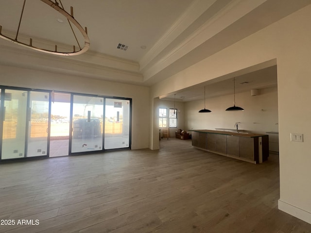 unfurnished living room with wood finished floors, visible vents, ornamental molding, a sink, and a raised ceiling