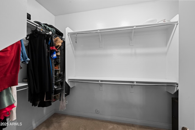 3766 E Ringtail Way, Phoenix, AZ 85050 - spacious closet featuring carpet floors