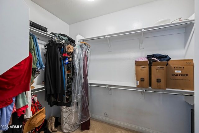 3766 E Ringtail Way, Phoenix, AZ 85050 - view of spacious closet