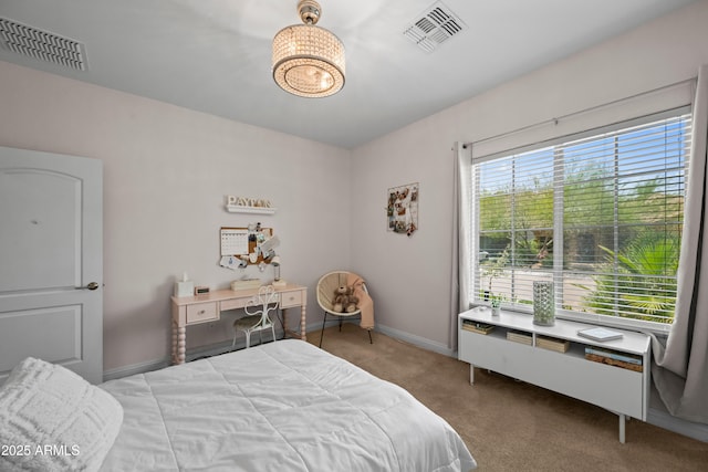 3766 E Ringtail Way, Phoenix, AZ 85050 - carpeted bedroom featuring baseboards and a chandelier