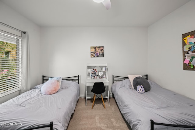 3766 E Ringtail Way, Phoenix, AZ 85050 - view of carpeted bedroom