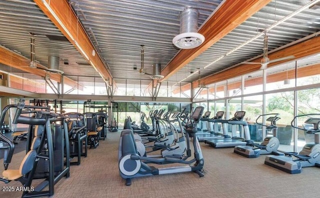 3766 E Ringtail Way, Phoenix, AZ 85050 - gym featuring carpet flooring and expansive windows