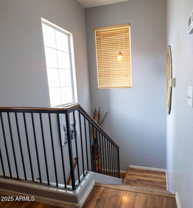 staircase with hardwood / wood-style flooring