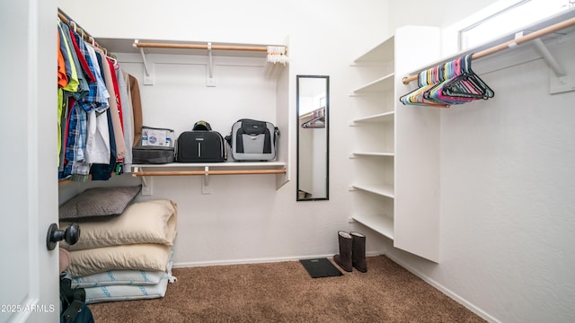 spacious closet featuring carpet floors