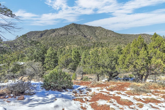 Listing photo 2 for 165 N Portal Dr Unit 165, Pine AZ 85544