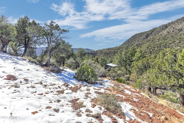 Listing photo 3 for 165 N Portal Dr Unit 165, Pine AZ 85544