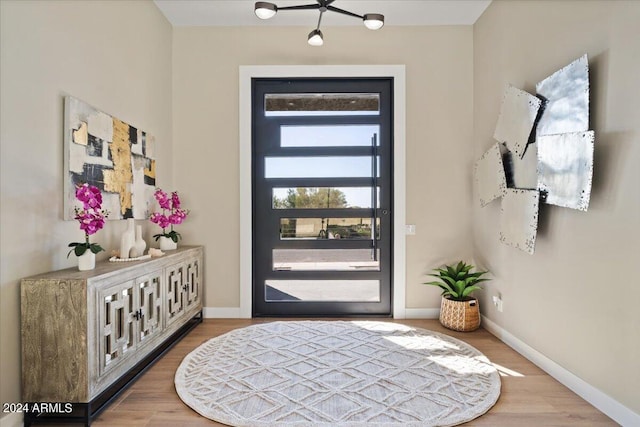 foyer featuring wood-type flooring