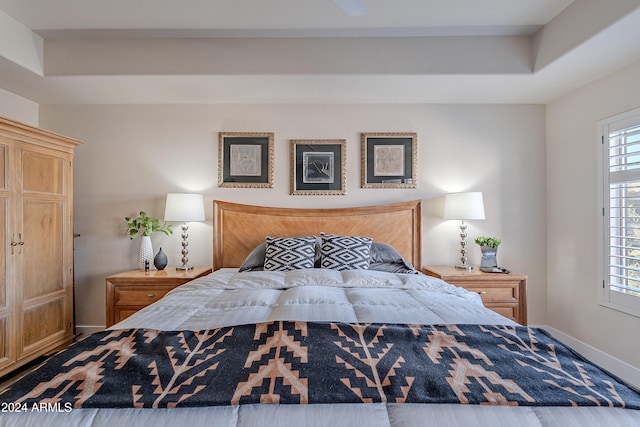 bedroom featuring a tray ceiling