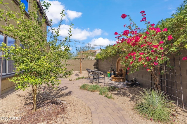 view of yard featuring a fenced backyard and a patio