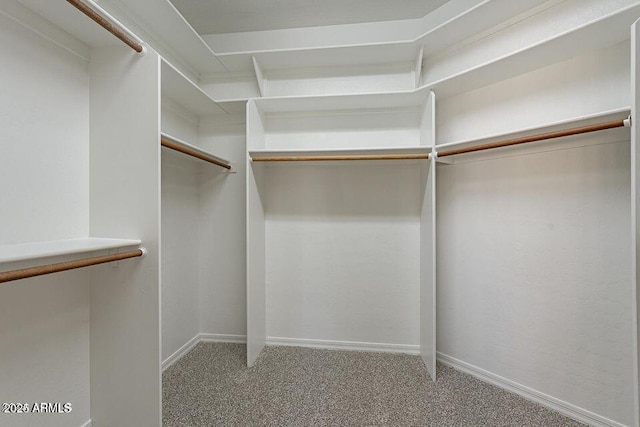 spacious closet featuring carpet