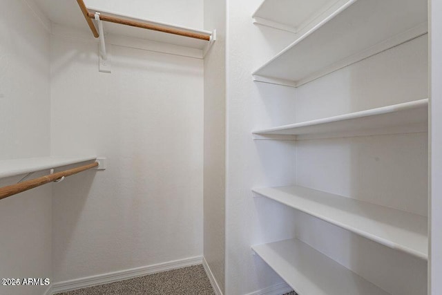 walk in closet with carpet flooring and attic access