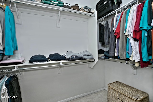 walk in closet with light carpet