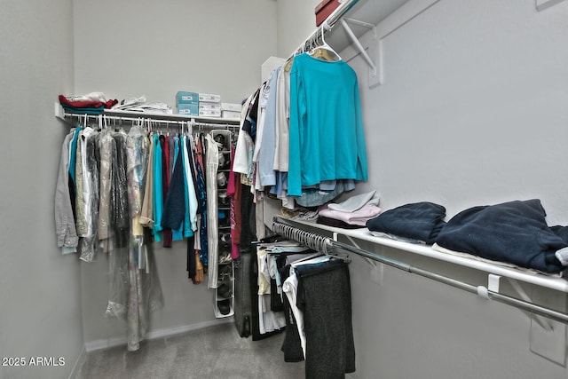 spacious closet featuring carpet floors