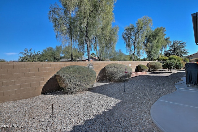 view of yard with a patio area