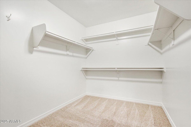 spacious closet with carpet