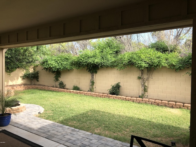 view of yard featuring a patio