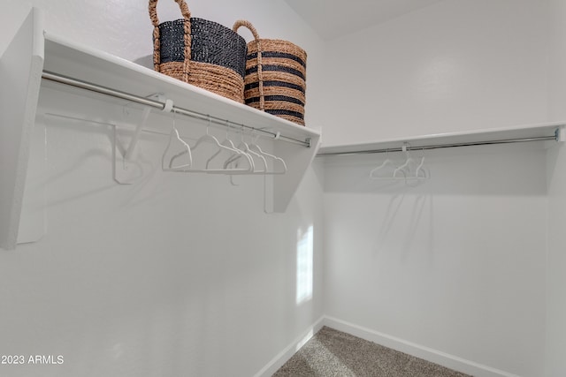 spacious closet with carpet floors