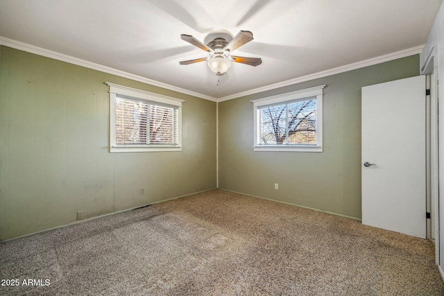 interior space with carpet flooring, a ceiling fan, and ornamental molding