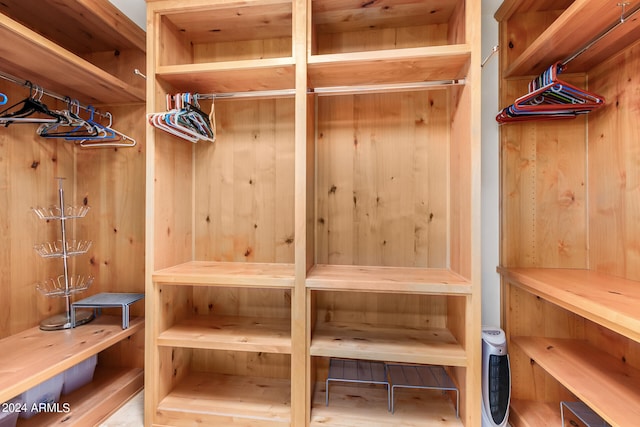 view of spacious closet