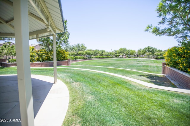 view of yard featuring a patio