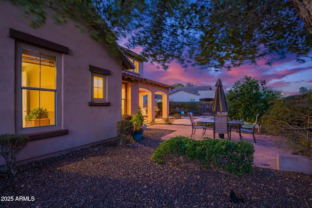 view of yard featuring a patio area