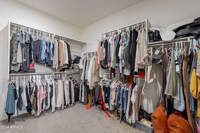 spacious closet featuring carpet