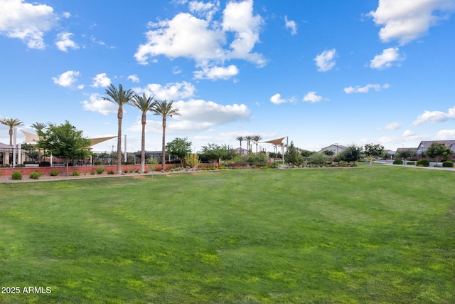 2644 S Dock St, Gilbert, AZ 85295 - view of yard