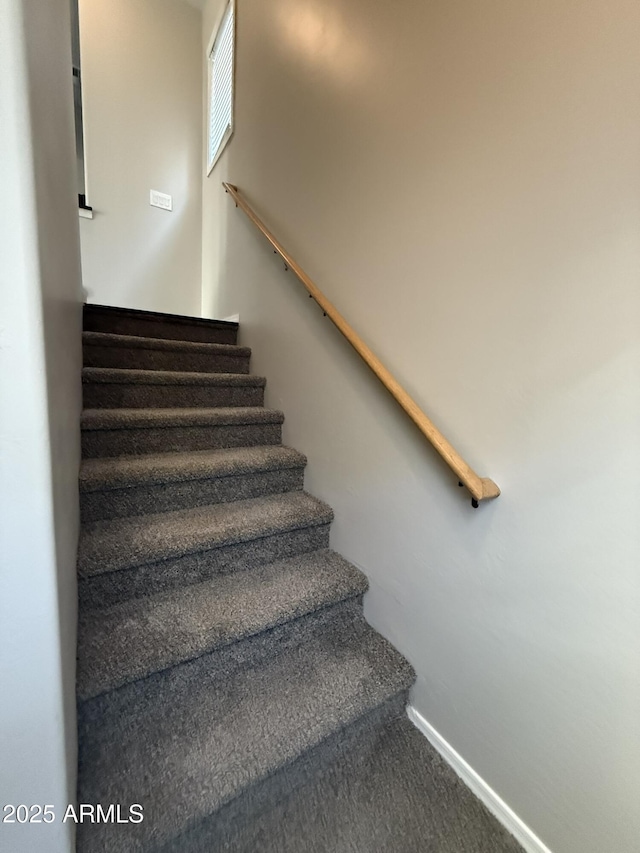 stairs with carpet flooring