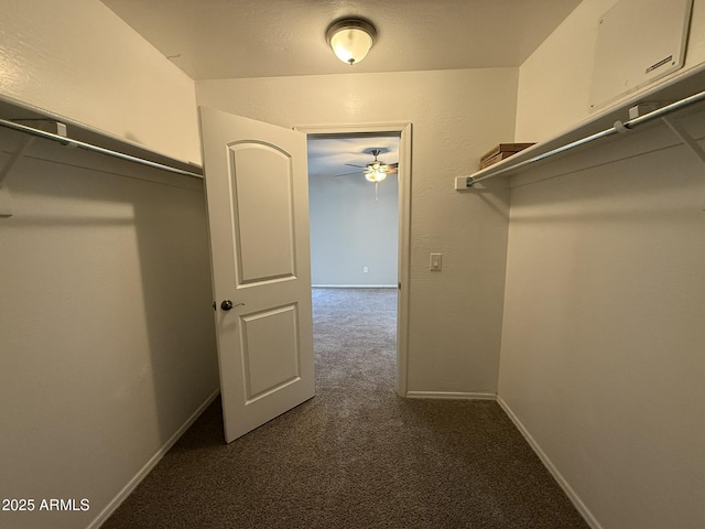 walk in closet featuring carpet flooring