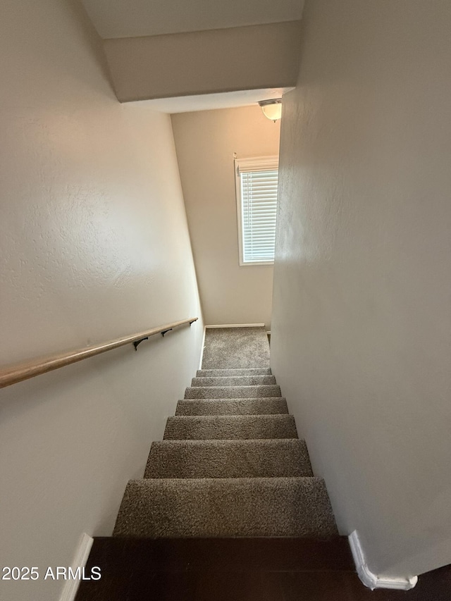 stairway with carpet flooring