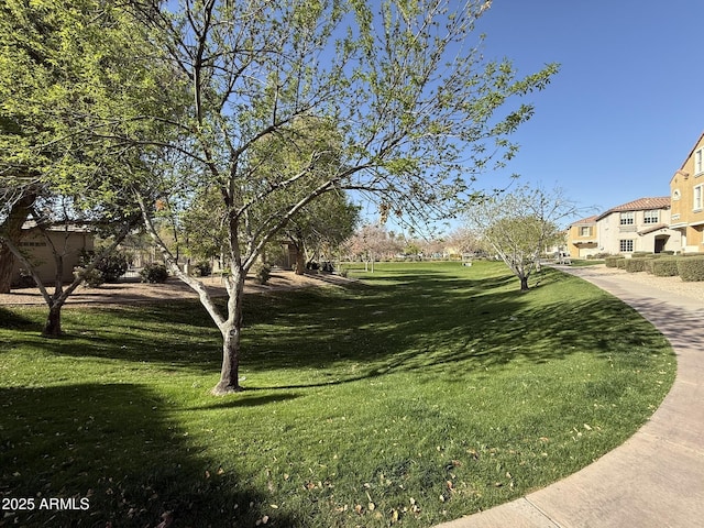 view of property's community with a yard