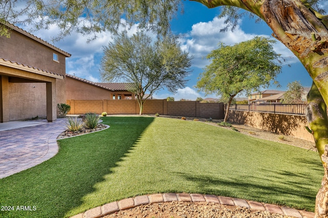 view of yard featuring a patio area