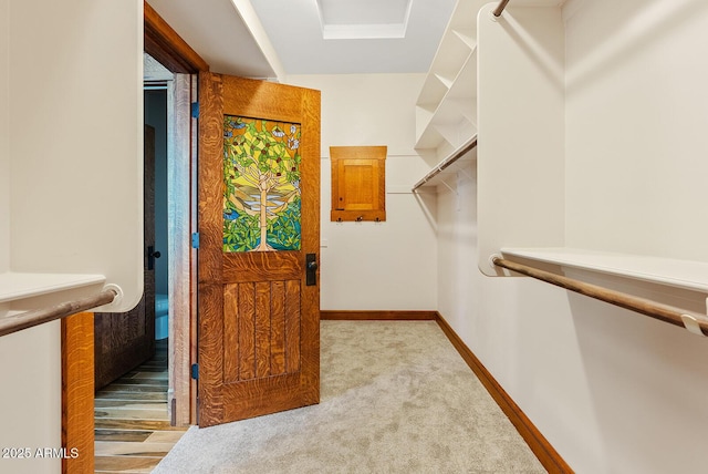 spacious closet featuring carpet flooring