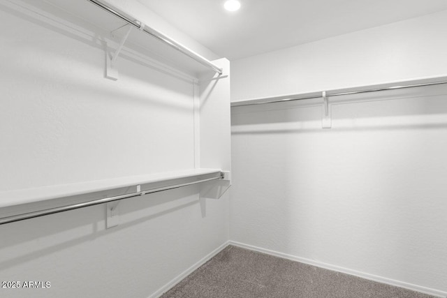 walk in closet with carpet floors