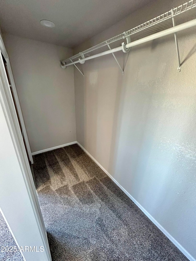 spacious closet with carpet