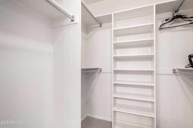 spacious closet featuring carpet